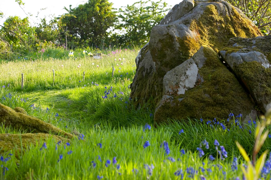 Boulder in Magic Garden