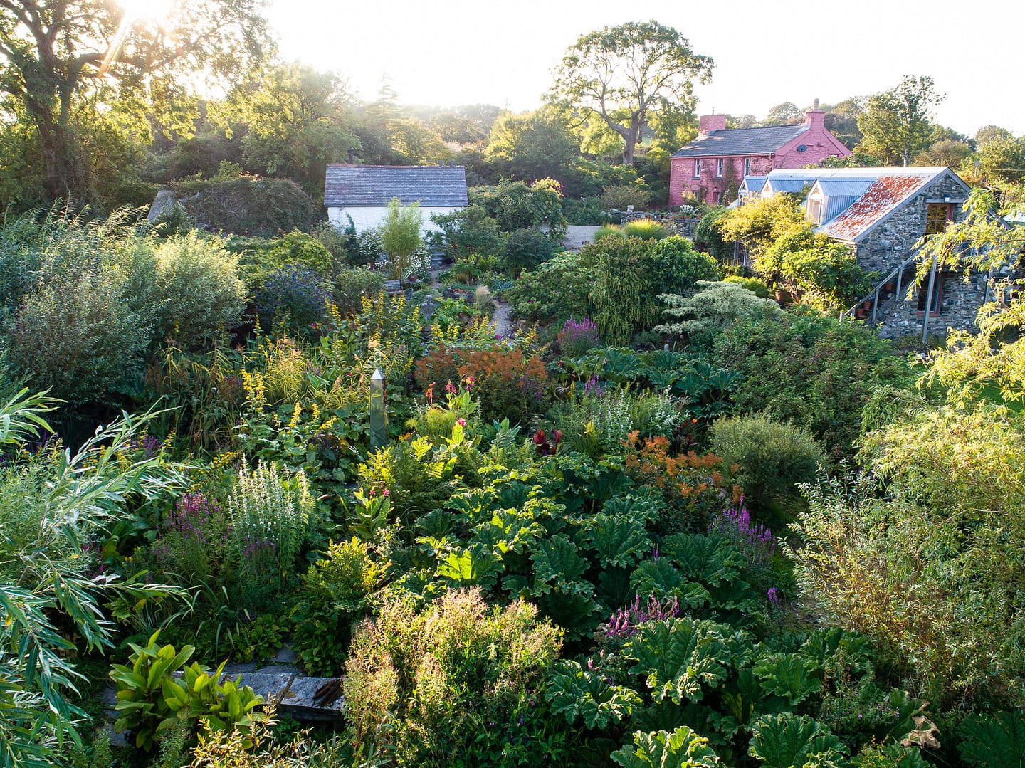 DFDRONE15-Edit Christina Shand, Dyffryn Fernant Garden Creator