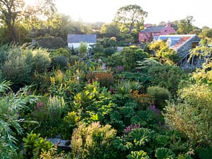 Walk & Talk, Wednesday 10 September RHS Members
