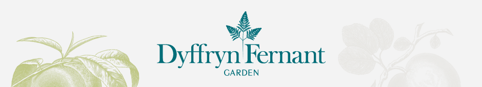 Dyffryn Fernant Garden Logo